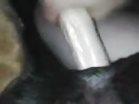 K9 gets his holes stretched with a big dildo in dog sex