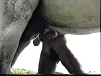 Kinky woman gets her holes stretched by a horse