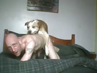 522 Team Russia Zoo: Russian Amateur Zoophilia Sex 2018 Animal Sex Videofrom moscow