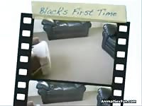 AnimalSexFun: Canine trying to have dog porn with his owner