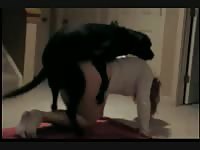 Woman who lives alone loves dog porn