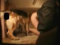 Girl got lonely so she tried sexy dog porn