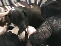 Fat slut enjoys getting pumped with dog cum in dog porn
