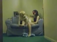 Retriever fucks slutty teen good till she cums in bestiality porn