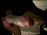 Dane makes woman squirt while having dog sex