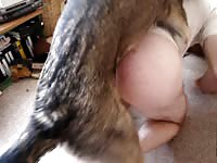 Dog and owner makes homemade dog porn