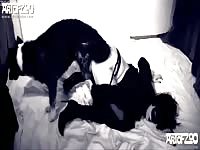 ArtOfZoo: French woman having dog sex for money