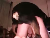 Having anal dog sex for the first time