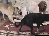 Zoophilia threesome recorded by a mature slut