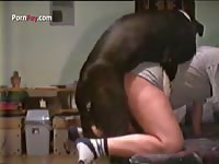 Porn Fay: Girl gets messy dog creampie in her butt