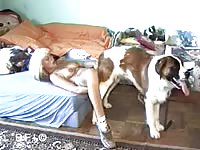 Dog gets to pound hairy women with animal sex kink