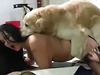 Dog shoots load into woman's pussy bestiality