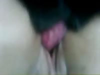 Dog knots hot babe's pussy in dog porn