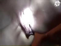 Homemade dog porn gets around the internet