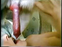 Bestial animal sex in her house