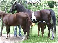 She tastes horse cock for the first time