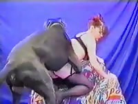Her dog fucks her while she moans