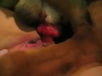 Extreme bestiality sex with horny dog