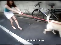 Golden retriever stretches his owner's tight holes in animal xxx