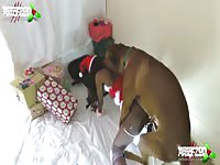 Moneypenny: Masked ebony can't escape brown dog's large cock in dog porn