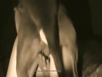 Kinky MILF having dog sex in the dark