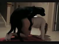 Girl fucked at home her dog bestiality video