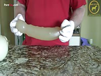 Zoophilia video tutorial with horse cock at PornFay