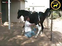 Making a horse cum animal porn