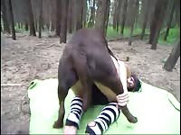 Zaina and her dog flirt in the forest in zoophilia video