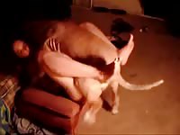 Kitten has her first time bestiality sex