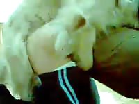 Sporty girl enjoys sexy zoophilia session in the bedroom
