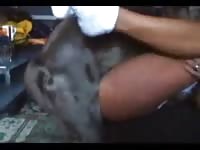 A black girl with an extremely perfect body enjoying dog porn