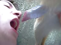 Having dog porn and sucking dick couldn't be more perfect