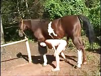 [Horse Porn Movie: Zoo Sex ] male horse blowjob from girl