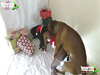 ArtOfZoo: Moneypenny stars in dog porn video