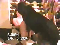 Pale white girl having dog sex on the floor