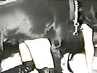 A girl trying to get fucked by her dog xxx