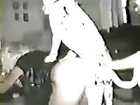 Classic bestiality porn and girls enjoying sucking dick