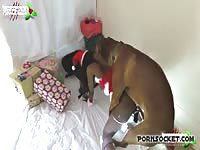 money penny santas little helper artofzoo [ Free Animal Sex Film ]