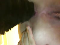 Dog licks woman's anus in dog porn