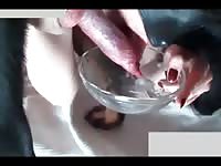 Girlfriend makes dog cum while having animal sex