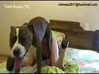 russian2 [ Free Animal Sex DVD ]