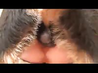 sexonia naughty schoolgirl [ Hard Animal Sex Film ]