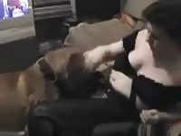 shawn missionary dog fucking