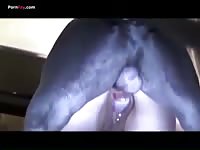 stupid dog fucks his owner horny