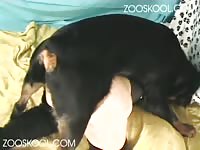 ZOOSKOOL - summer dirty movie