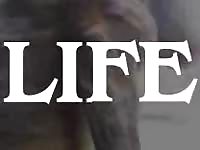 thatslife part 1