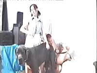 the slut wives with dogs