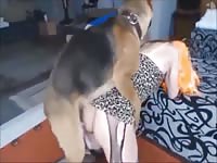 this dog is my male