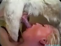 this dog loves to fuck